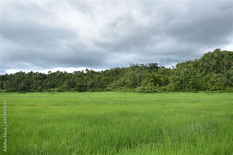 plains in the philippines